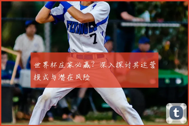 世界杯庄家必赢？深入探讨其运营模式与潜在风险