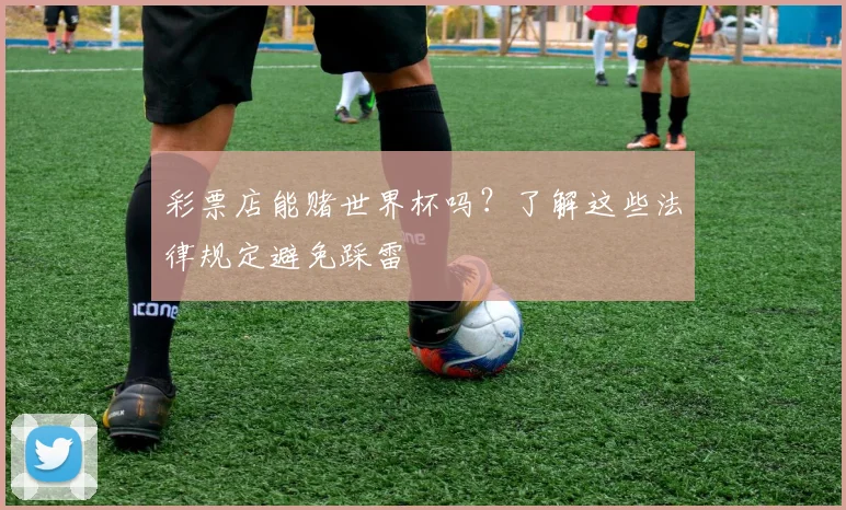 彩票店能赌世界杯吗？了解这些法律规定避免踩雷