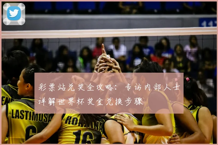 彩票站兑奖全攻略：专访内部人士详解世界杯奖金兑换步骤