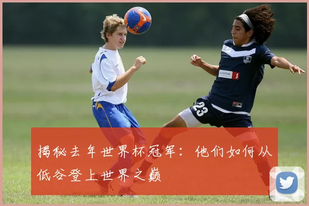 揭秘去年世界杯冠军：他们如何从低谷登上世界之巅