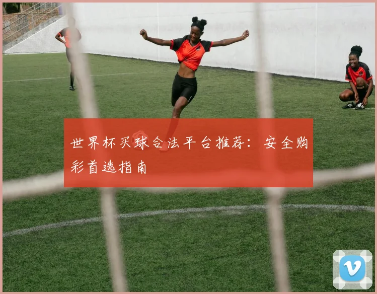 世界杯买球合法平台推荐:安全购彩首选指南