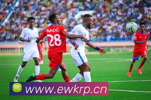 App Interface Preview